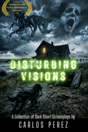 Front Cover of Disturbing Visions by Maine Author Carlos Perez