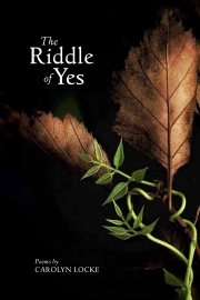 The Riddle of Yes by Maine Writer Carolyn Locke 
