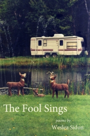 The Fool Sings by Maine writer Weslea Sidon