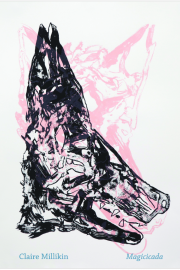 Front cover of Magicicada by Claire Millikin