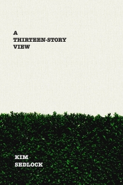 Front cover of A Thirteen Story View by Maine writer Kim Sedlock