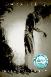 Dark Steps by Maine Author Brian Hershey
