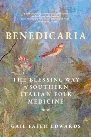 Front cover of Benedicaria by Gail Faith Edwards