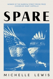 Front cover of Spare by Maine writer Michelle Lewis